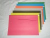 Wholesale paper file folder/ file holder/manila file holder/document folder
