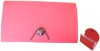 pp check expanding file w/13 pockets
