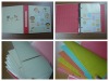 Wholesale 2011 Low Price Ring Binder