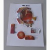 3D Education Poster