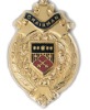 Wholesale Badge for chairman