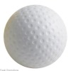 One Piece Golf Ball