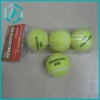 Tennis Balls (for training and match use)