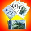 Wholesale play card younghi