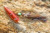 Wholesale Fishing lure Octopus Jig