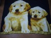 Wholesale printed fleece blanket
