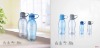 Wholesale ice cooler bottle ZWB008