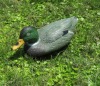 Wholesale duck decoy