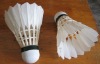 Wholesale Duck Feather Badminton