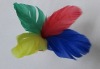 Wholesale shuttlecock