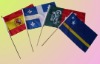 Wholesale hand flag