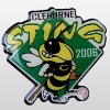 Baseball Trading Pins