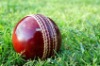 Wholesale cricket ball
