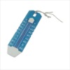 Large pool thermometer