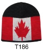 Wholesale Ski hat / Ski cap / Ski beanie