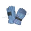 Wholesale Ski gloves