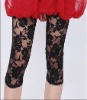 Wholesale 2011 Fashion Cotton Ladies Leggings High Quality