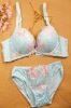ladies underwear set