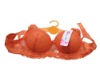 Wholesale Lot of 600 Embroidery Sexy Silky Intimate Bra