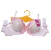 Wholesale Lot of 600 Embroidery Silky Intimate Sexy Brassiere
