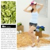 Wholesale seamless tank top,lady tank top