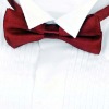 Wholesale Fashion Bow Tie