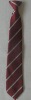 Wholesale 100% polyester school tie