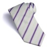 Wholesale polyester fahion necktie