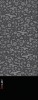 Wholesale polar fleece bandanna