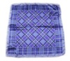 Wholesale 2011 new styl kerchief for lady
