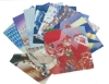 Wholesale Glasses Cleaner