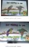 Wholesale Polarized Test Card