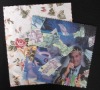Wholesale eyeglasses cleaning cloth
