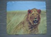 microfiber cleaning cloth with cartoon imprint