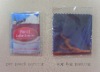 Wholesale glasses cleaner cloth