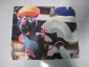 Wholesale glasses cloth