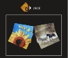 Wholesale Microfiber len cloth