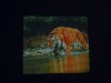 Wholesale Microfiber lens cloth