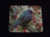 Wholesale Microfiber len cloth