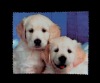 Wholesale mobile phone cleaning cloth