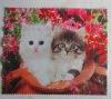 Wholesale microfiber glasses cleaning cloth