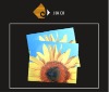 Wholesale Microfiber len cloth