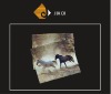 Wholesale Microfiber len cloth