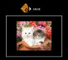 Wholesale Microfiber len cloth