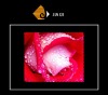 Wholesale Microfiber len cloth