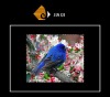 Wholesale Microfiber len cloth