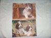 Wholesale microfiber cleaning cloth
