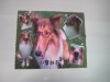 Wholesale glasses cleaning cloth