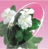 Wholesale CR-39 1.499 Semi Finished Resin Lens