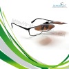 Wholesale 2011 Best-selling style polarized Eyeglass clip on